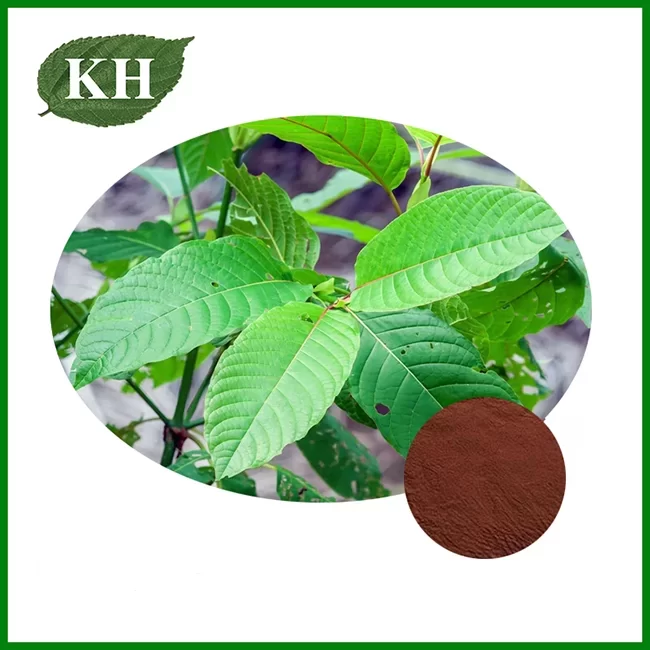 Yohimbe Bark Extract Powder